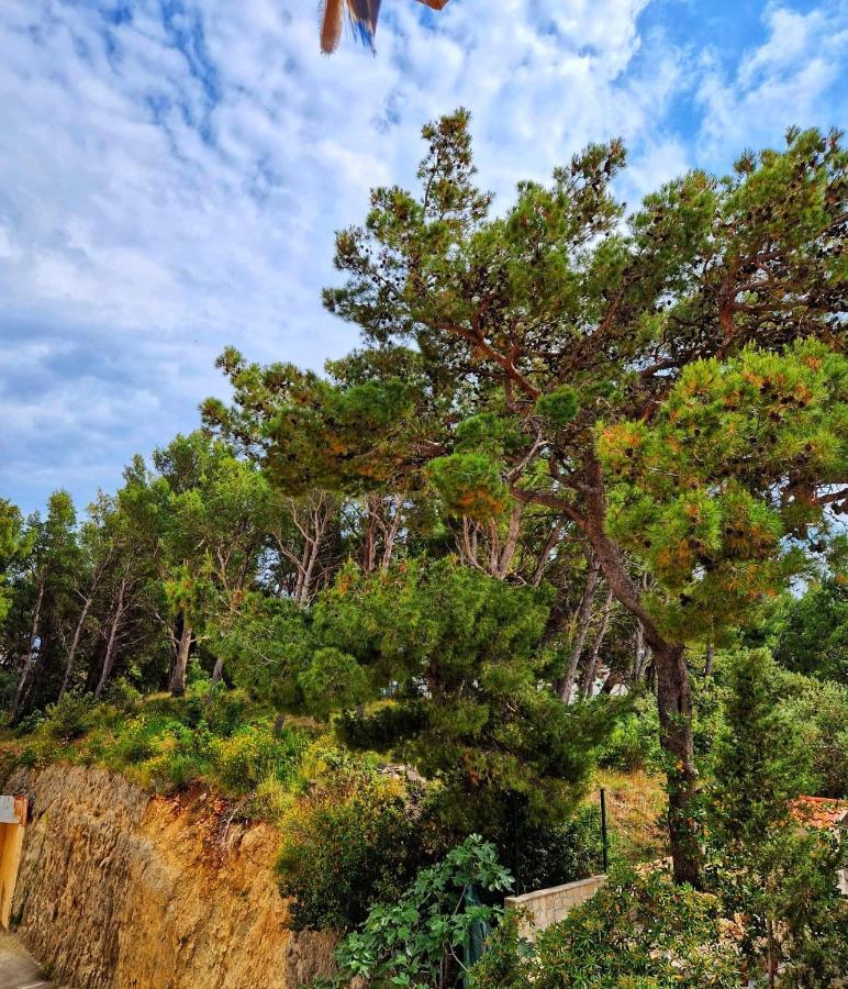 Apartman Mar18 Makarska Kültér fotó